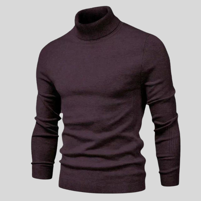 CHARLES - Fashionable Turtleneck Sweater-DESTINY
